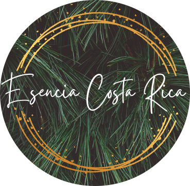 mobile logo