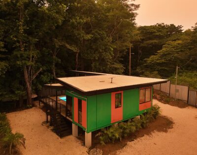 Pura Vida Jungle Container